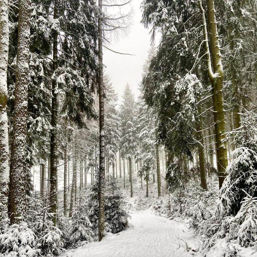 Harz Is Calling Goslar Buitenkant foto