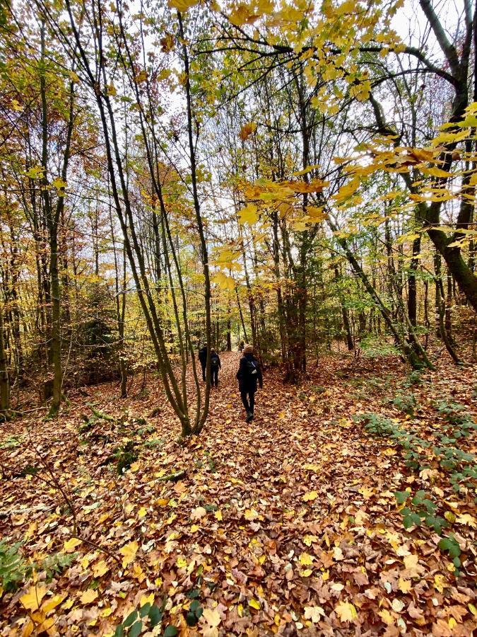 Harz Is Calling Goslar Buitenkant foto
