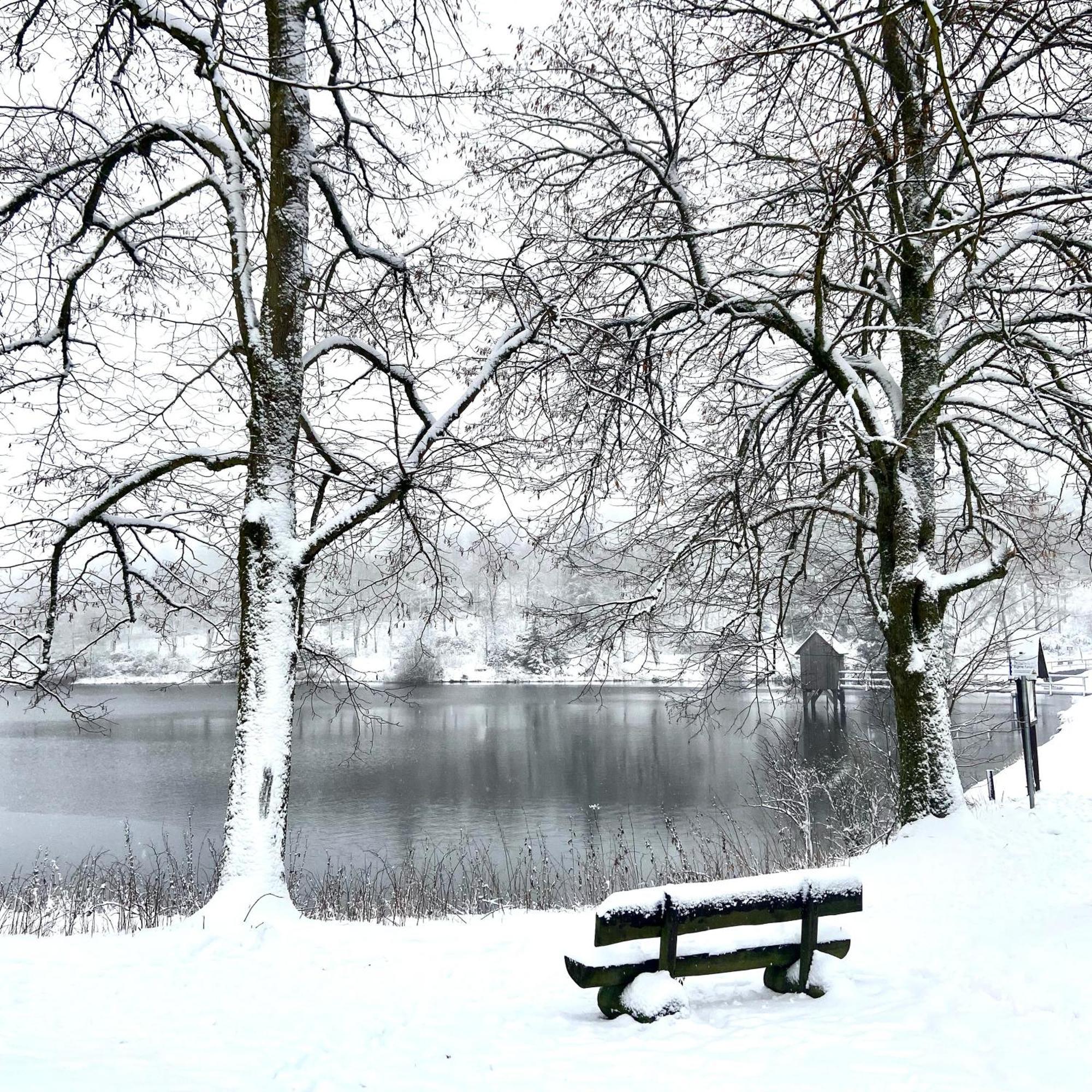 Harz Is Calling Goslar Buitenkant foto